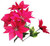 Red Poinsettia Bush (x7)