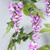 Wisteria Garland Lilac (1.9M) Wisteria Garland Lilac (1.9M)