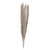 Natural Pampas Grass (Pack of 5 Stems) Natural Pampas Grass (Pack of 5 Stems)