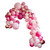 Deluxe Pink Balloon Arch 