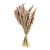 Ixia Flowers Robin Dried Bouquet