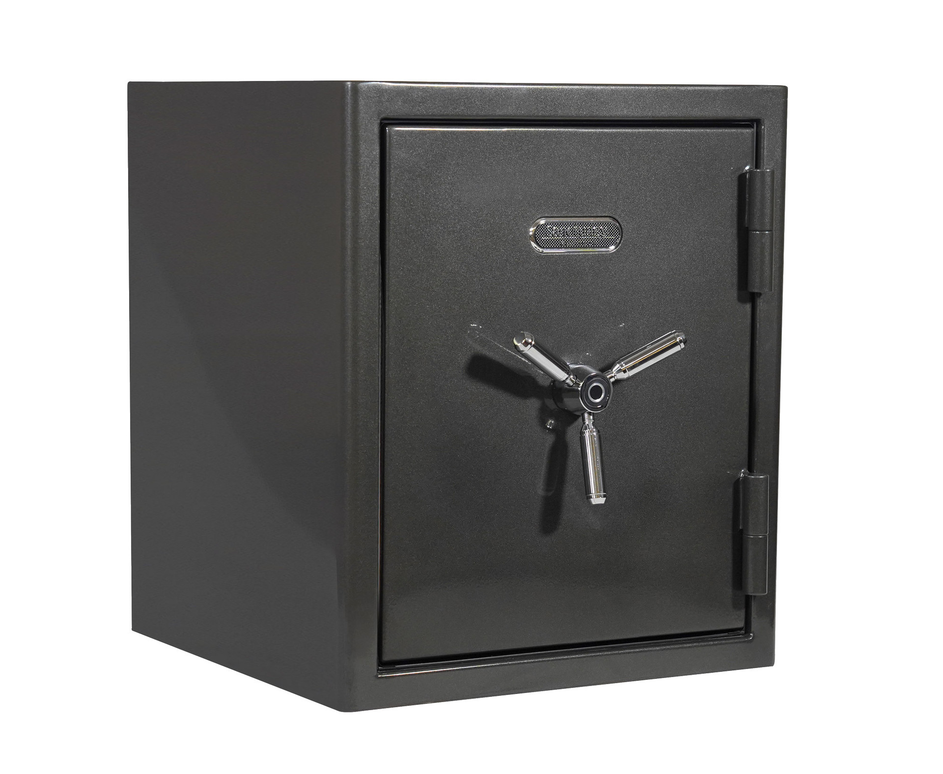 Biometric Gun Safes Best Biometric Safes for Home or Office Gun