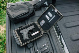 VAULTEK LifePod 10 Weather Resistant Lockable Storage Case - American Flag (Special Edition)