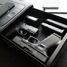 VAULTEK NDS5i ViSN Smart Station - Covert Black