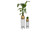 Plantenbak Iris Velyon