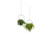 Plantenhanger Liv - Set/2 - Zwart