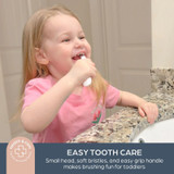 Dreambaby 10 Piece Essentials Kit 4