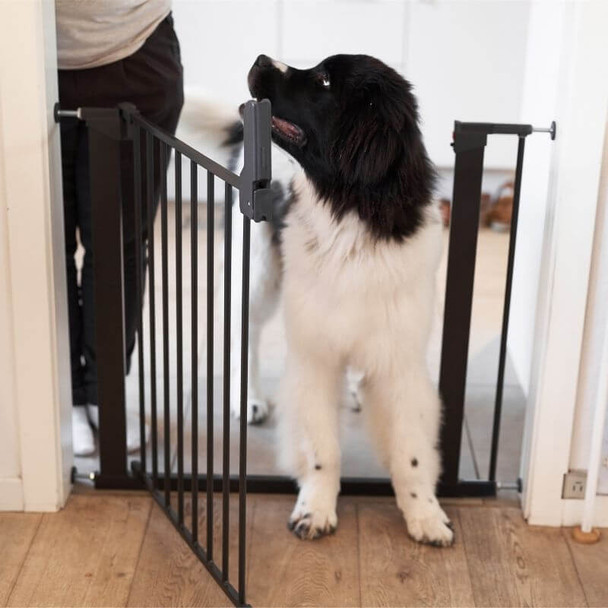 DogSpace Lassie Pressure Fitted Dog Gate, Black (73.5-79.6cm) Live