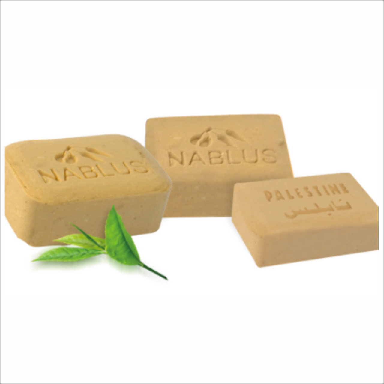 softyl skin care soap