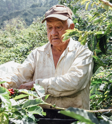 Ethically sourced natural processed whole bean coffee from Colombia