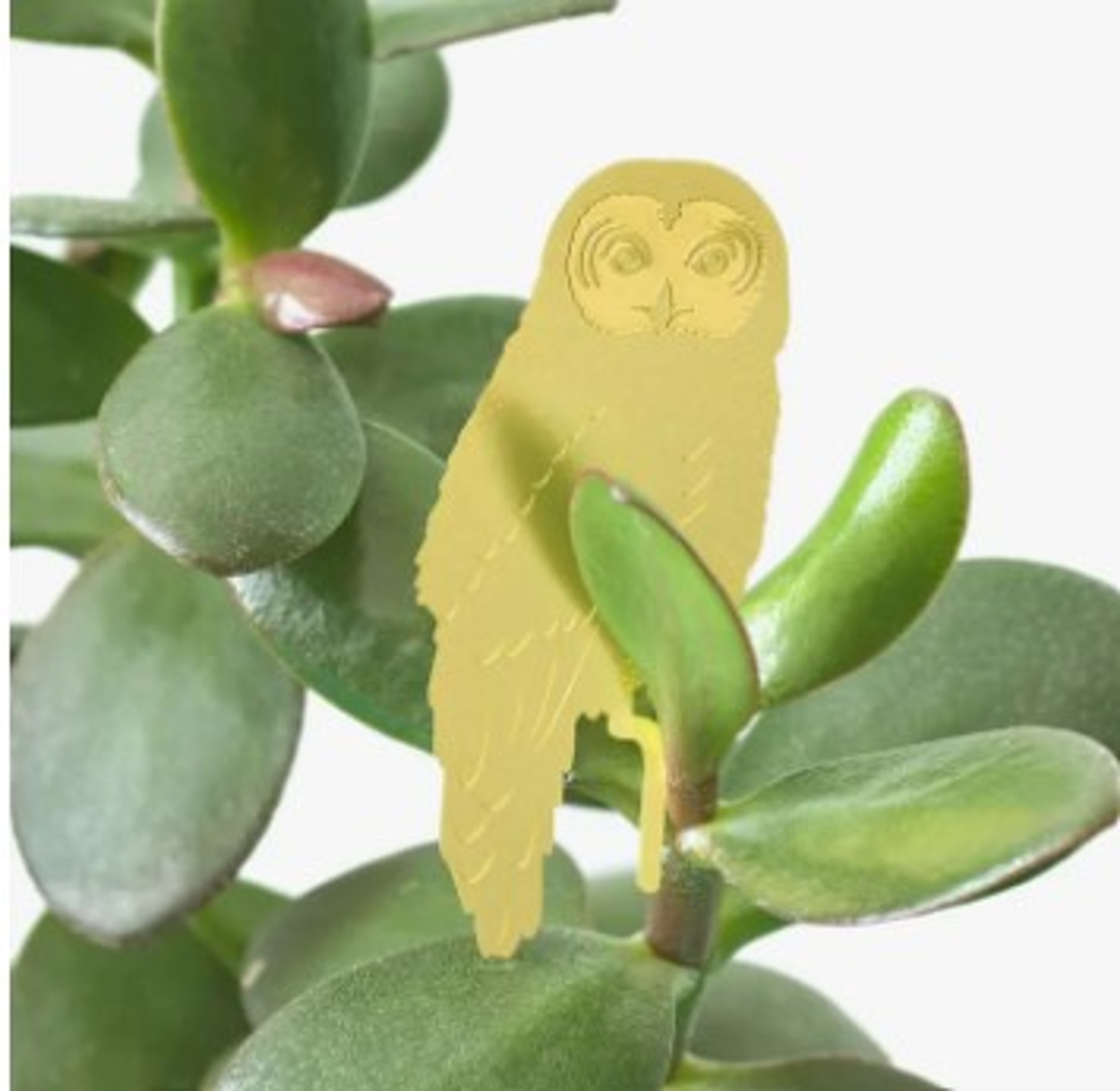 Meerkat Plant Animal from China - The Silk Road Fair Trade Market