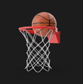 Wilson NBA DRV Pro Outdoor Basketball, Brown, 29.5 in.
