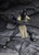 S.H. Figuarts Orochimaru- Seeker of Immortality- S.H. Figuarts Orochimaru- Seeker of Immortality-