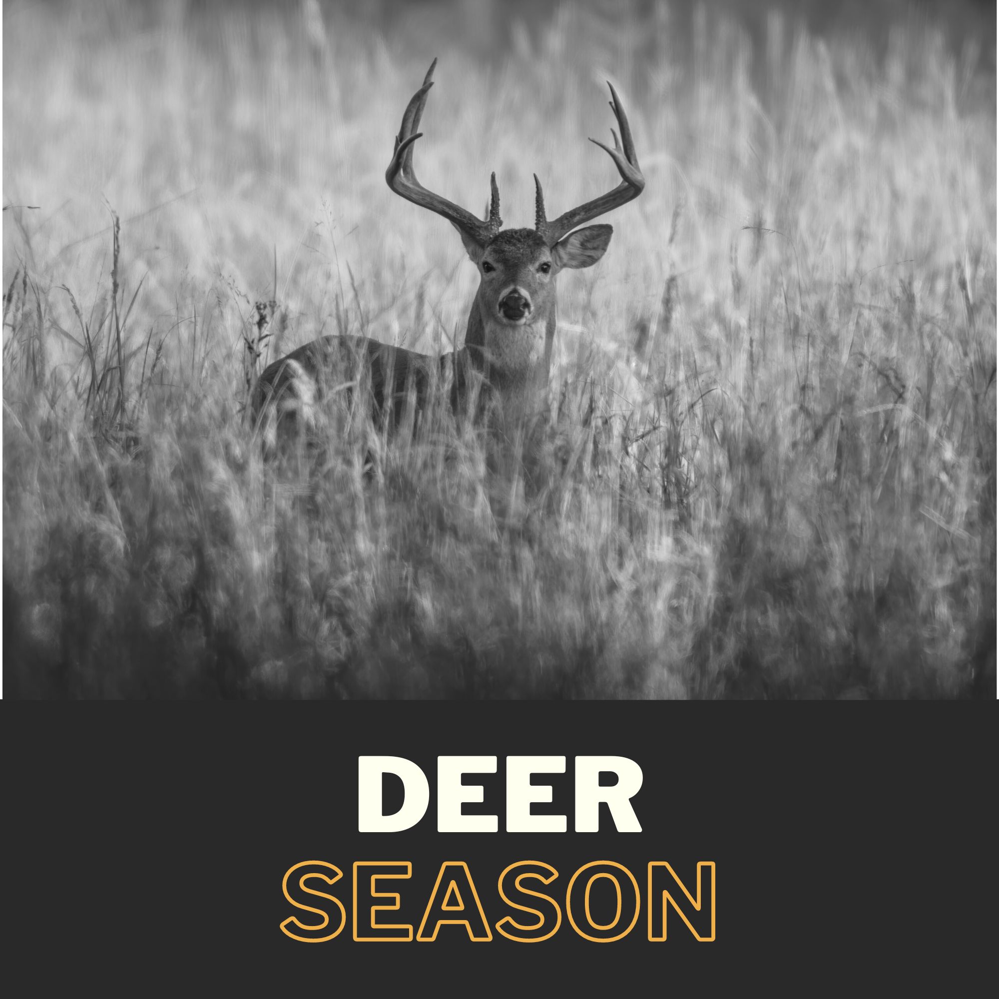 Deer Season 2023 had started at EKHO RIDGE with Firearms, Game Calls, Trail Cameras & Gear