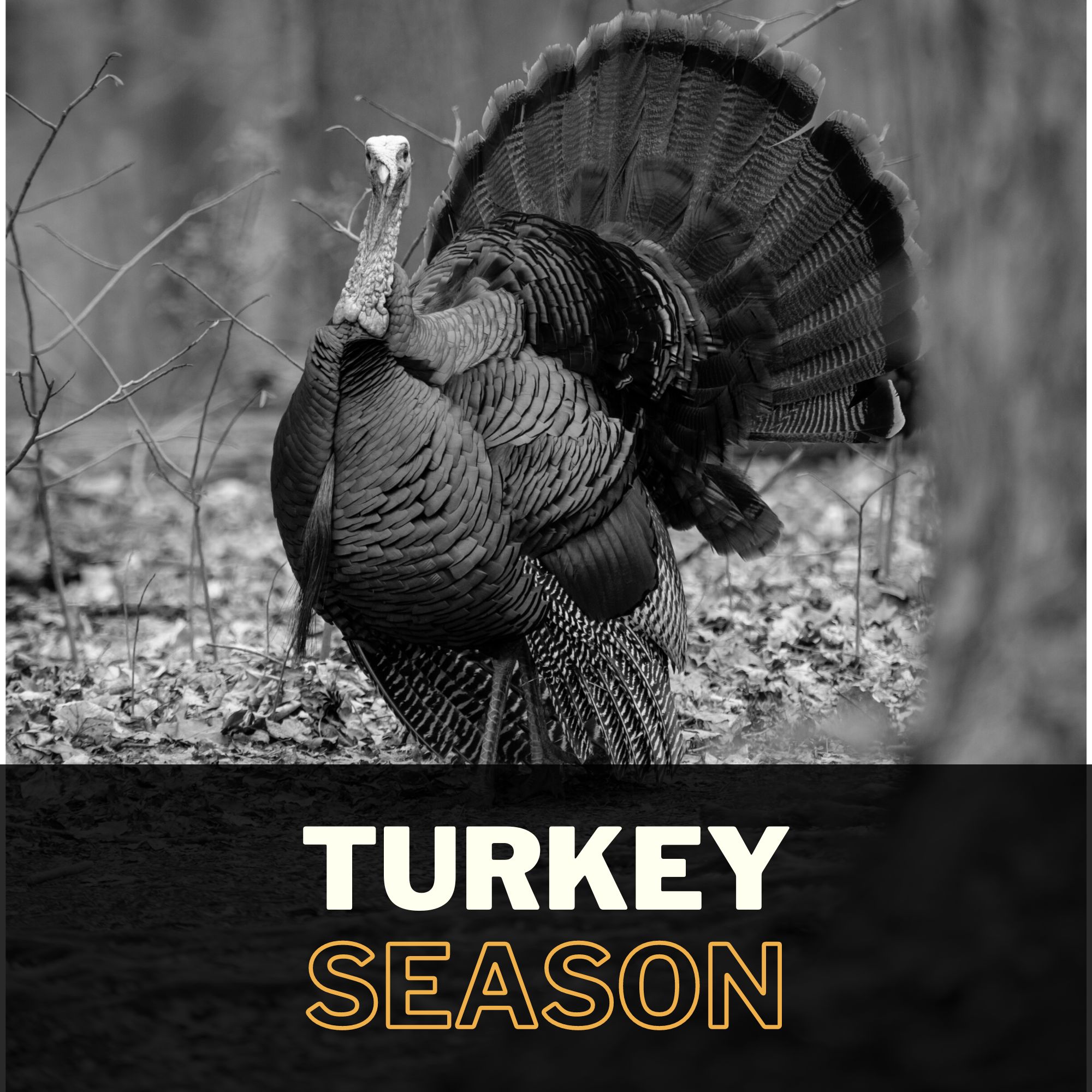 Turkey Season Gear, Decoys, Shotguns & Chokes at EKHO RIDGE