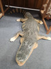 ALLIGATOR 95 X 34 X 10 N42112-128