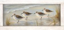 12x24 Sandpiper 3 A-12-612-112