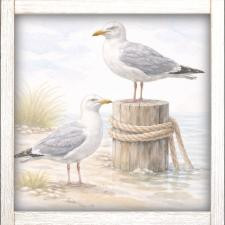 24x24 Pair of Seagulls A-24-633-112
