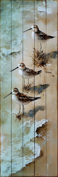 NEW ART LEFT SANDPIPER SMALL  SL-824-509-112