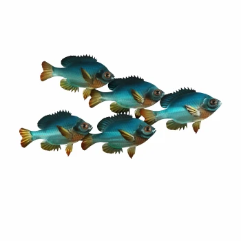 BL SUNFISH SCHOOL CO197-10