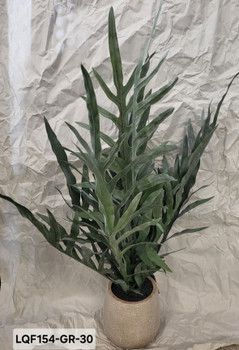 LG JAVA FERN IN POT LQF154-GR-30