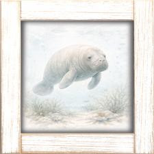 12x12 Manatee Swimming  A-22-644-112