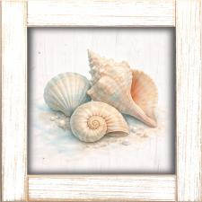 12x12 Collection of Shells A-22-647-112
