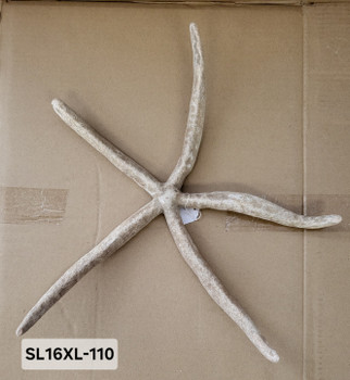 Star Finger-Nat/Bl 12" SL16XL-110