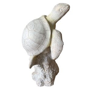 WHITE TURTLE ON CORAL 75648-2