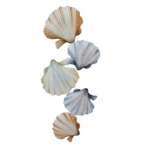 30" SHELL WALL DECOR 76647-2