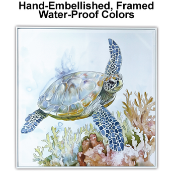 Ast Turtle W-7031-105