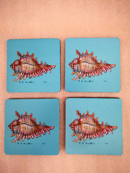 Conch Coasters - Set of 4 CT094-50