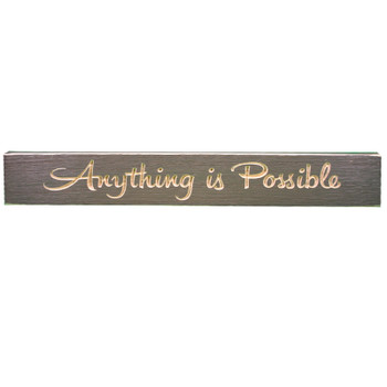 24" USA ANYTHING IS POSSIBLE 10220