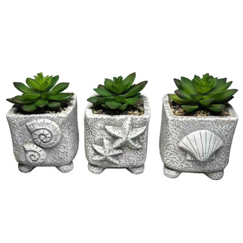 5-3/4" SEA SHELL POTTED PLANT (EACH)  70936