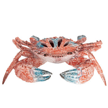 CORAL CRAB CLR WW-628-105