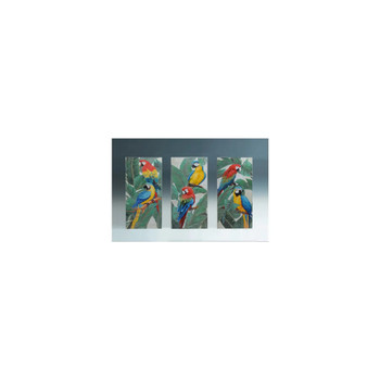 MACAW CANVAS PRINT 33767-11  each