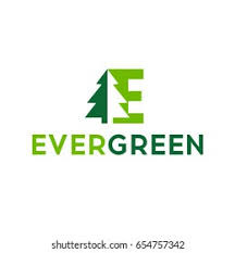 Evergreen