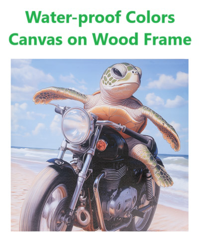 AST. TURTLE M CYCLE  W-9949-105