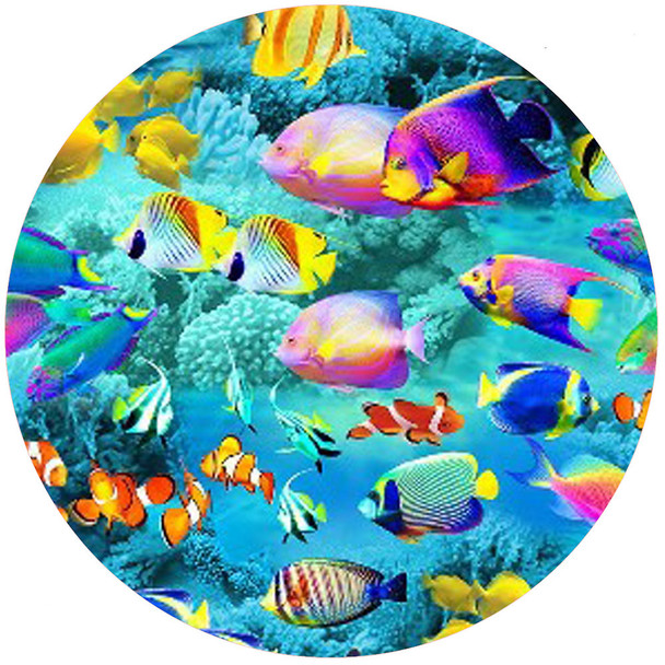 TROPICAL FISH TRIVET TRT-467-117