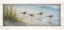12x24 Sandpiper 2 A-12-611-112