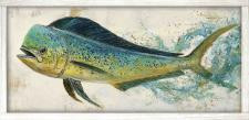 23x46 Mahi Mahi PB-617-112