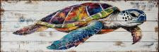 NEW ART TURTLE HORIZONTAL SMALL SL-824-502-112