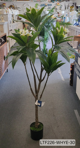 59" PLUMERIA TREE LTF226-WHYE-30