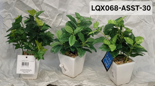 ASSTD GREENERY LQX068-ASST-30