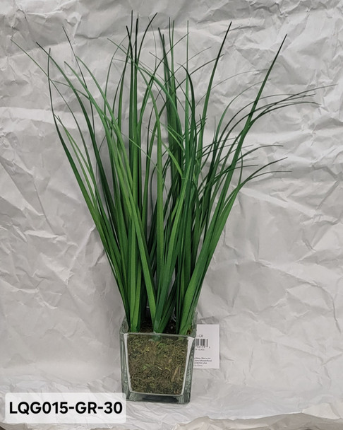 15"GRASS IN GLASS VASE GR LQG015-GR-30