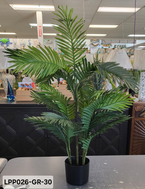 30" PARLOR PALM TREE IN POT LPP026-GR-30