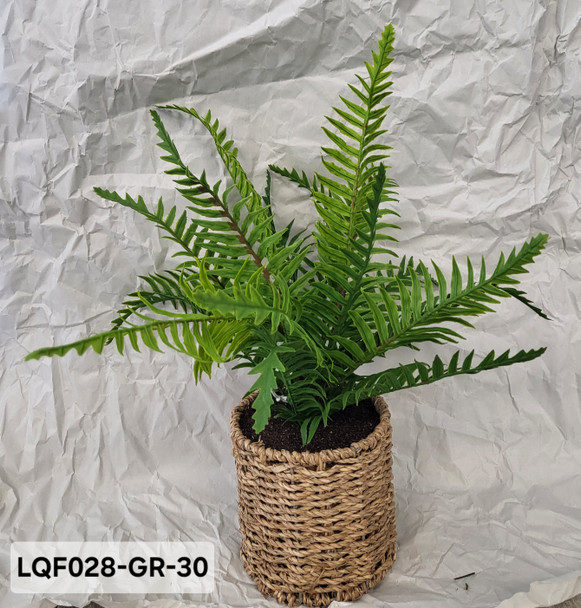Boston Fern LQF028-GR-30