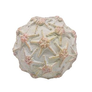 4 in Starfish Ball 76899-2