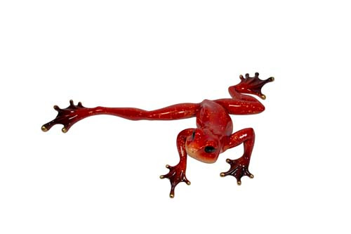 Red Frog Gold Toes F1203-53