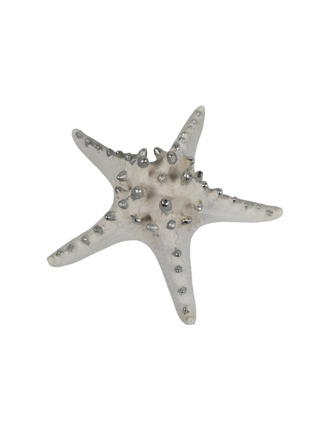 6IN STARFISH OC159-53